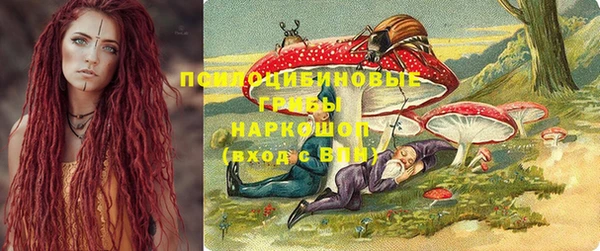 спайс Алексин