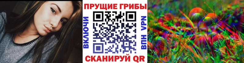 Галлюциногенные грибы Psilocybe  купить наркоту  omg вход  Ясный 